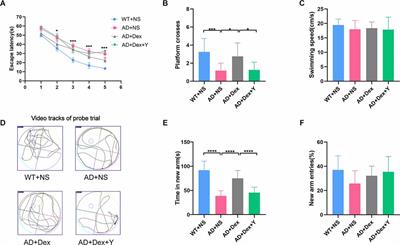 Dexmedetomidine exerts an anti-inflammatory effect via α2 adrenoceptors to alleviate cognitive dysfunction in 5xFAD mice